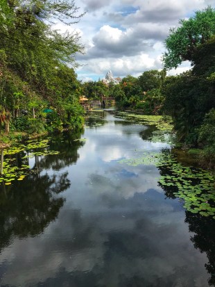 Everest- Animal Kingdom Park